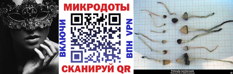 Галлюциногенные грибы ЛСД  Купить закладки  Серафимович 